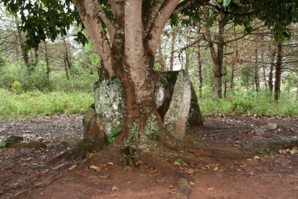 phonsavan (18)